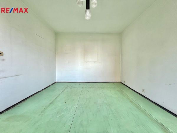 REMAX Delux