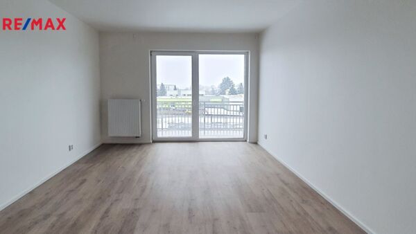 REMAX Delux