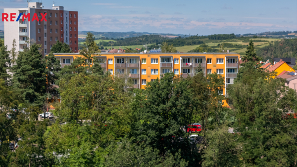 2943545.jpg