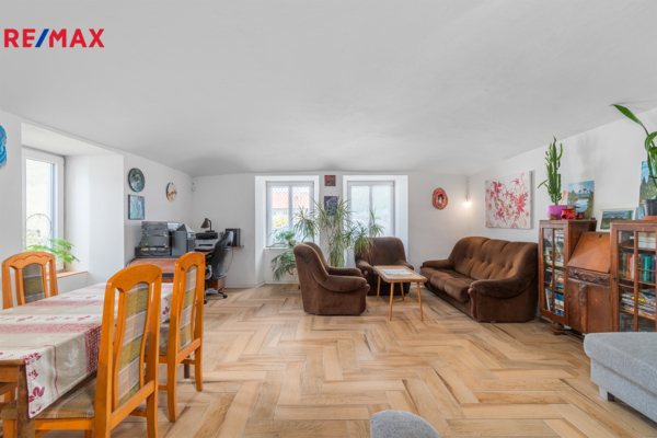 REMAX Delux