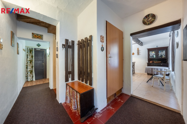 REMAX Delux