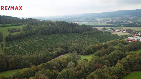 Střítež nad Bečvou