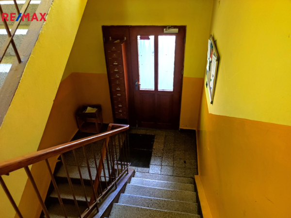 2696906.jpg