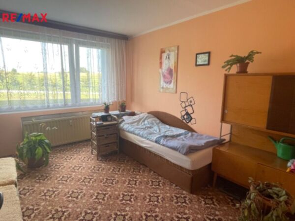 REMAX Delux
