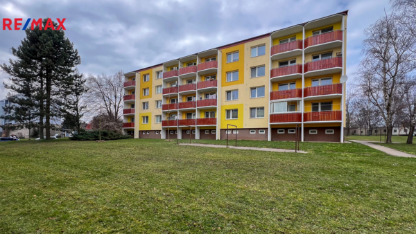 REMAX Delux