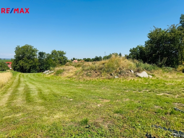 REMAX Brno