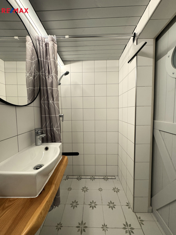 REMAX Delux