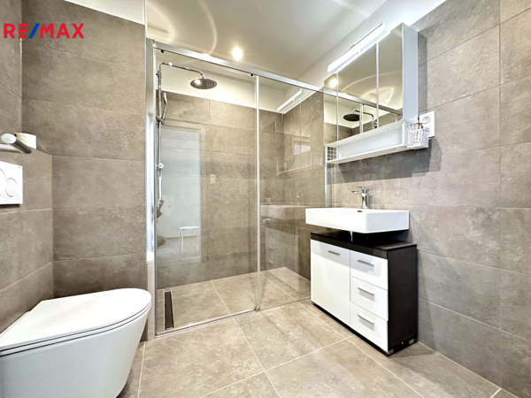 REMAX Delux
