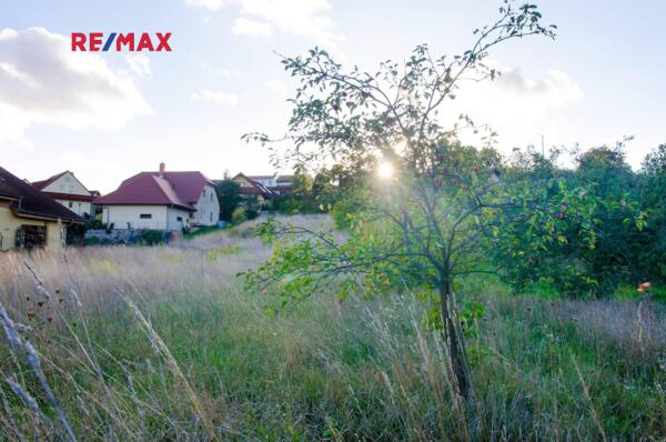 REMAX Brno