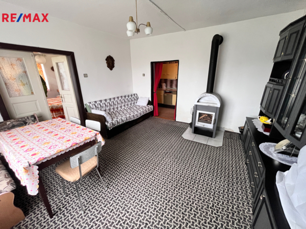 REMAX Delux