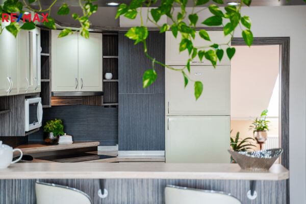 REMAX Brno