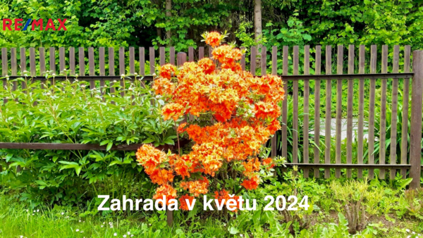 2764454.jpg
