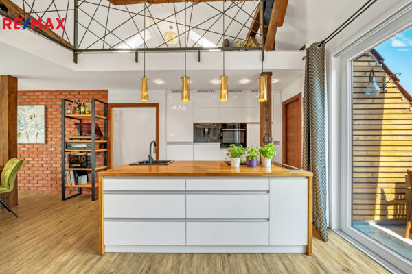 REMAX Delux