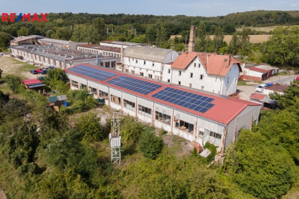 2944191.jpg