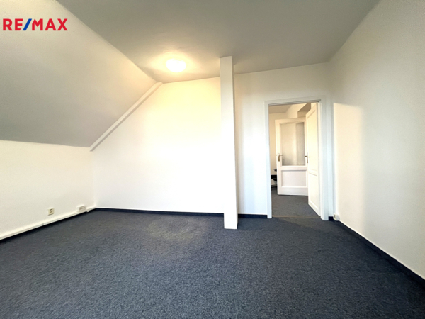 REMAX Delux
