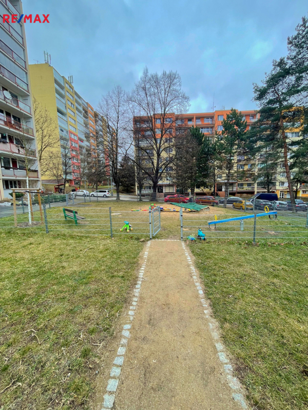 2673849.jpg