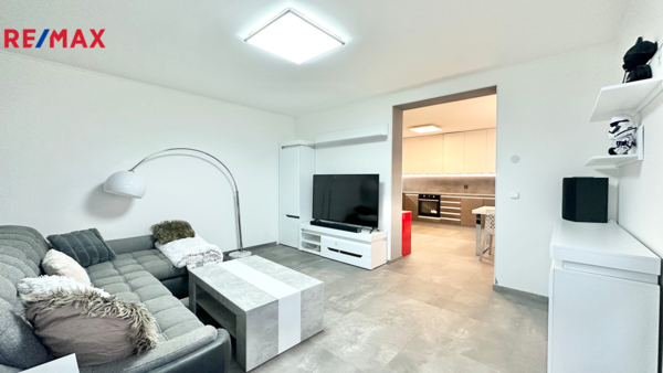 REMAX Delux
