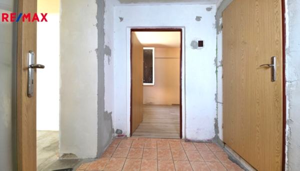 2942147.jpg