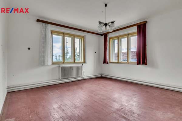 REMAX Delux