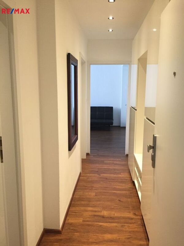 REMAX Delux