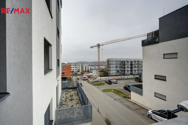 2641468.jpg
