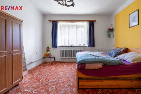 REMAX Delux