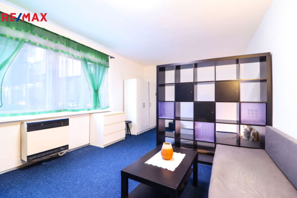 Pronájem bytu 1+kk, 30 m2, Praha