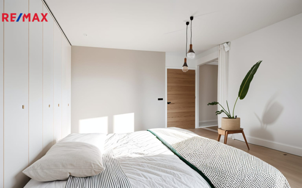 REMAX Delux