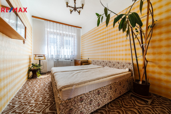 REMAX Delux
