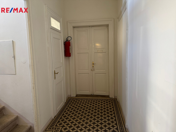 REMAX Delux