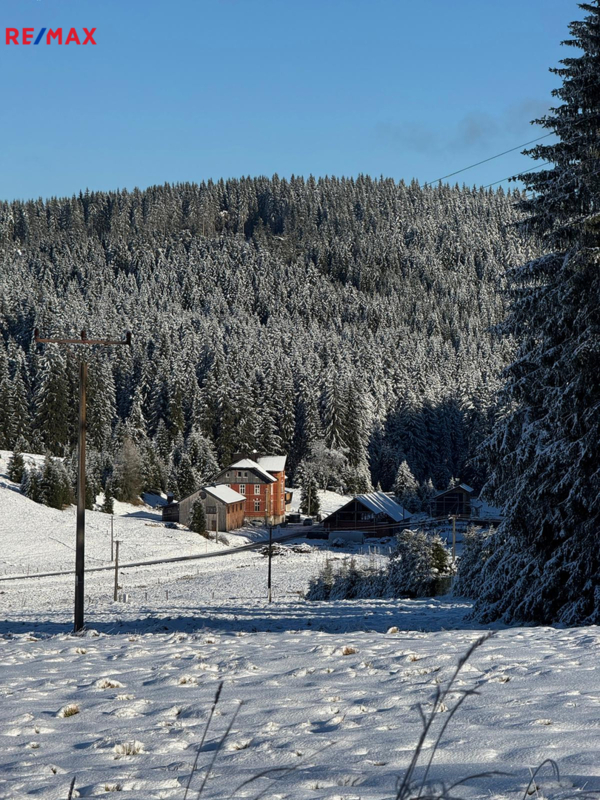 REMAX Delux