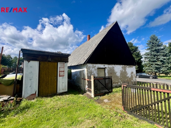 REMAX Delux