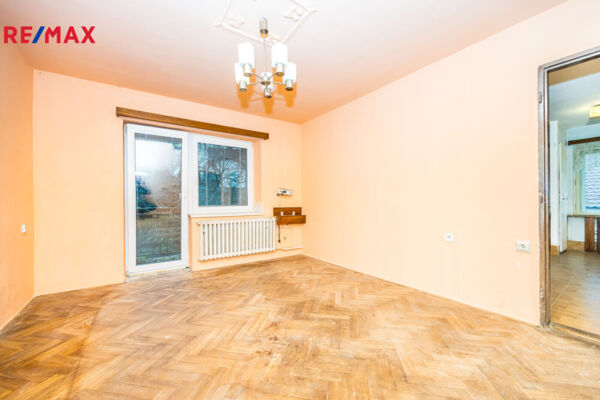 REMAX Delux