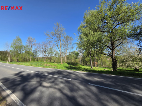 REMAX Delux