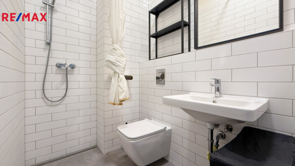 REMAX Delux