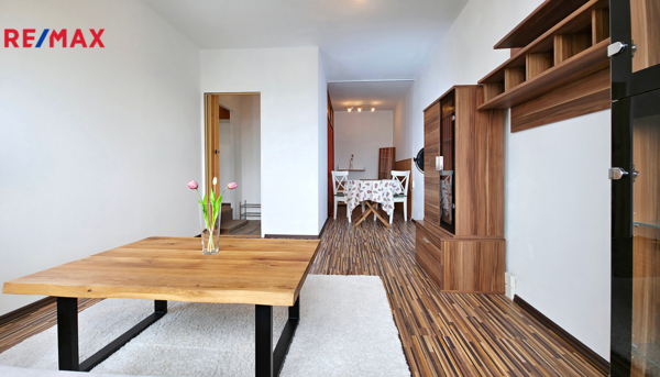 REMAX Delux