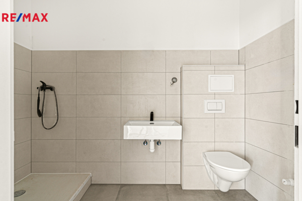 REMAX Delux