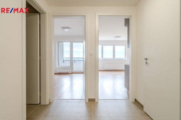 REMAX Delux
