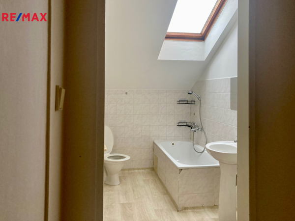 REMAX Delux