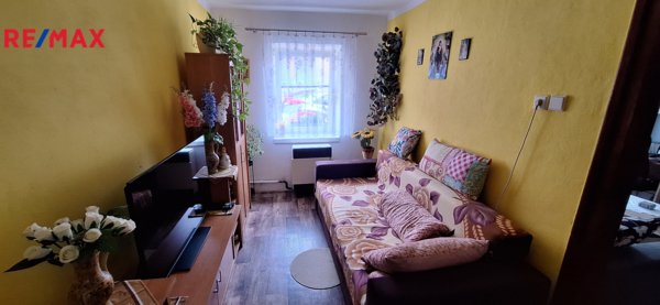 REMAX Delux
