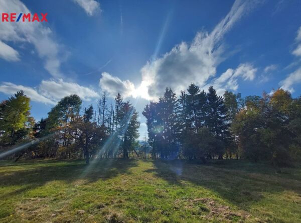 Vysoké nad Jizerou