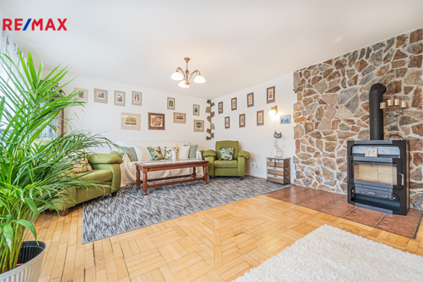 REMAX Delux