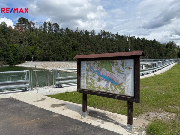 REMAX Delux