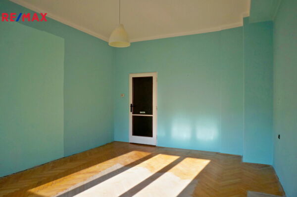 REMAX Delux