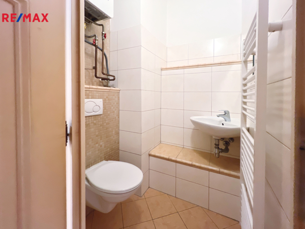 REMAX Delux