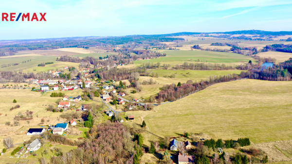 REMAX Delux
