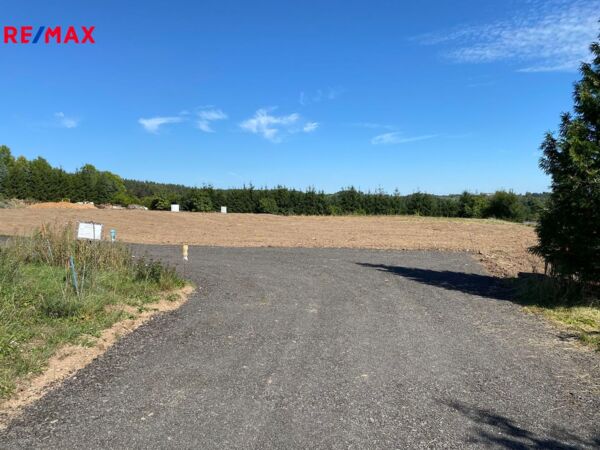 REMAX Delux