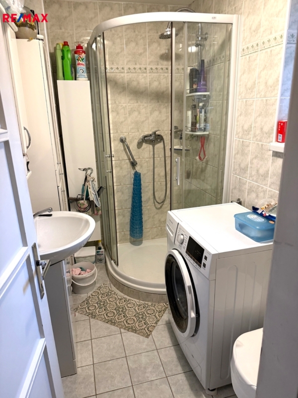 REMAX Delux