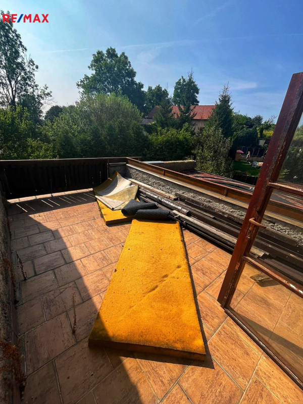 2631676.jpg