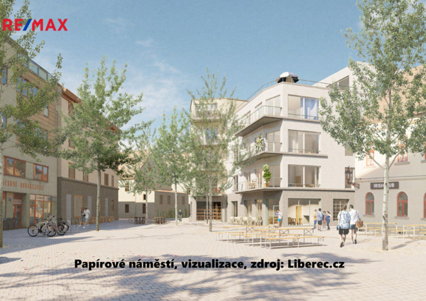 REMAX Delux